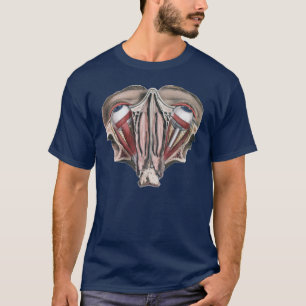 Antieke menselijke anatomie wetenschap, Oogbollen  T-shirt