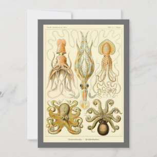 Antieke Octopus Inktvis Gamochonia door Ernst Haec Kaart
