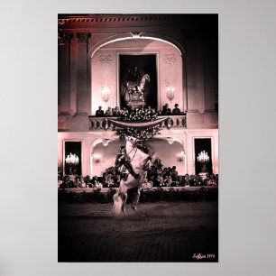 Antieke Oostenrijk Wenen Spaanse Courbette Poster