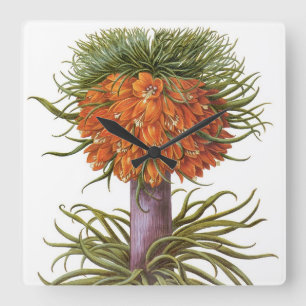 Antieke Oranje Fritillaria Bloemen Basilius Besler Vierkante Klok