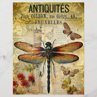 Antieke Oudheid Libelle Ephemera