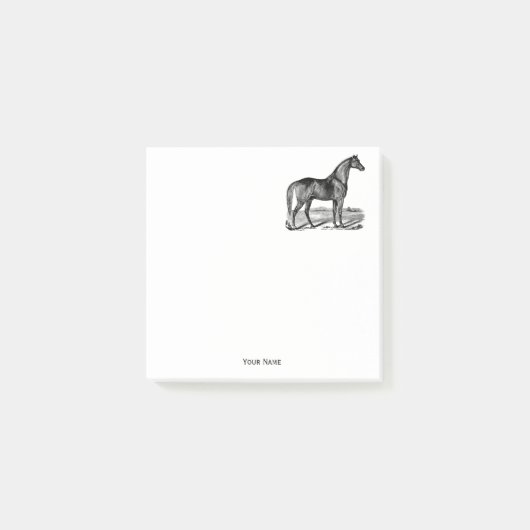 Antieke Paard Staand Post-it® Notes (Voorkant)
