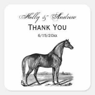 Antieke Paard Staand Vierkante Sticker