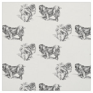 Antieke Pekingees-schets Stof