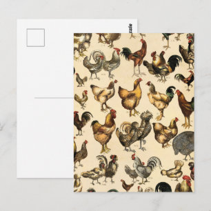 Antieke Pluimvee van de Wereld Kippenras Kunst Briefkaart