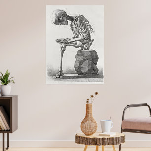 Antieke poster van skelet anatomie
