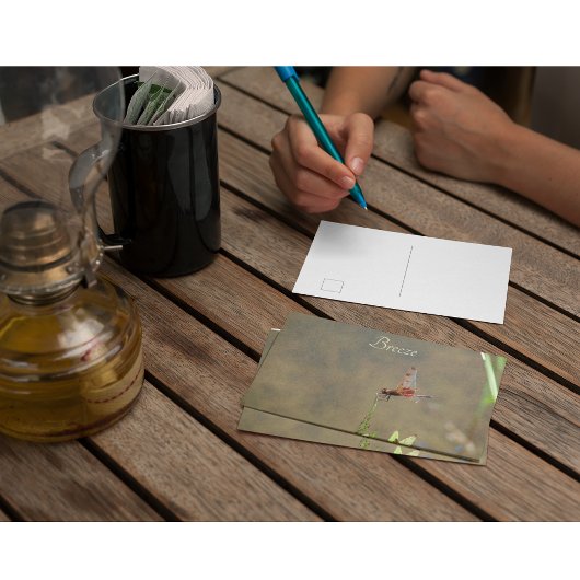 Antieke Rood Libel Aangepaste Botanische Noot Briefkaart