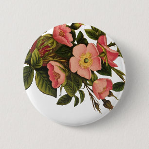 Antieke Roos Vintage Bloem Illustratie Kunst Ronde Button 5,7 Cm