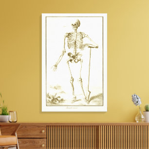 Antieke Skelet, Menselijke Anatomie door Denis Did Canvas Afdruk
