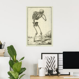 Antieke Skelet, Menselijke Anatomie door Denis Did Poster