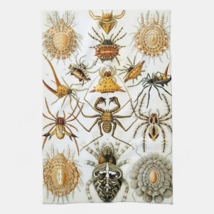 Antieke spinnen of spinachtigen door Ernst Haeckel Theedoek