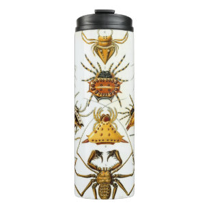 Antieke spinnen of spinachtigen door Ernst Haeckel Thermosbeker