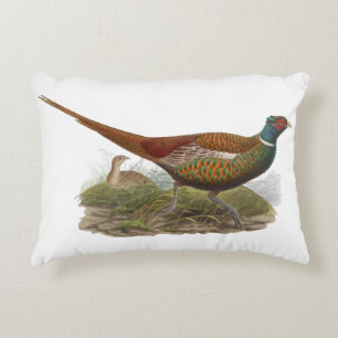 Antieke tekening van fazant jachtvogel in kleur accent kussen