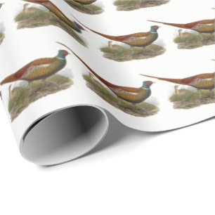 Antieke tekening van fazant jachtvogel in kleur cadeaupapier