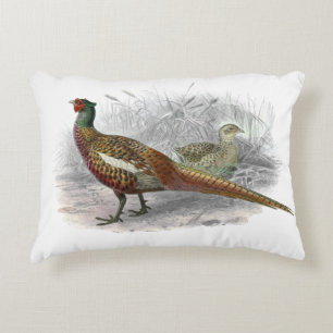 Antieke tekening van fazant jachtvogel kleur #2 accent kussen
