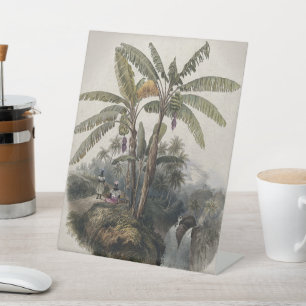 Antieke Tropische Bananenboomgaard Vintage Bota Reclamebord Met Voetstuk