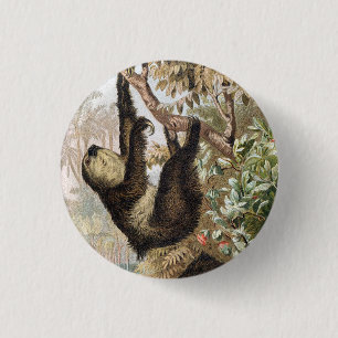 Antieke Tweevingerige Luiaard 1900 Boekillustratie Ronde Button 3,2 Cm