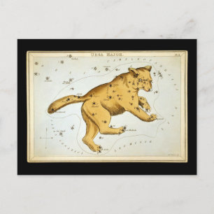 Antieke Ursa Major Beer Briefkaart
