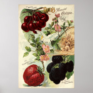 Antieke Victoriaanse tijdperk Reid's Zaadcatalogus Poster