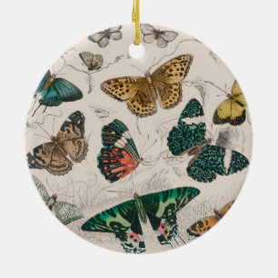 Antieke Vlinder Illustratie: 1820 Goudsmid Keramisch Ornament
