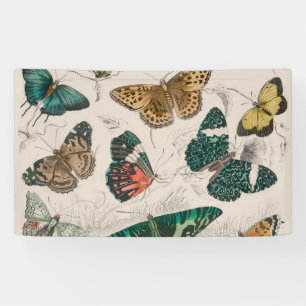 Antieke Vlinder Illustratie: 1820 Goudsmid Spandoek