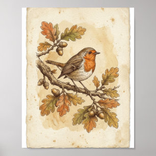 Antieke vogel schets Frans I Poster