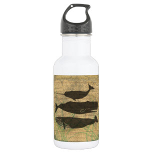 Antieke Walvis Nautilus Vintage Oceaan Zeeleven Waterfles