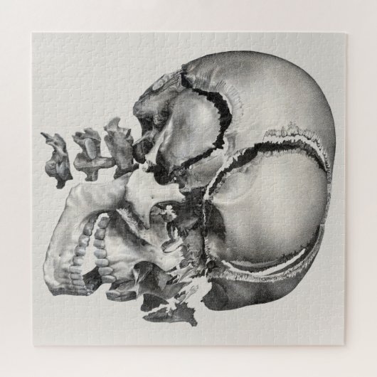 Antieke wetenschap Menselijke anatomie, antieke sc Legpuzzel (Horizontaal)