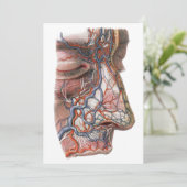 Antieke wetenschap Menselijke anatomie, gezicht me (Staand voorkant)