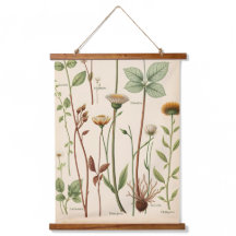 Antieke wetenschappelijke botanische illustratieka