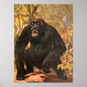 Antieke Wilde Dier, Gorilla of Grote Aap door CE S Poster