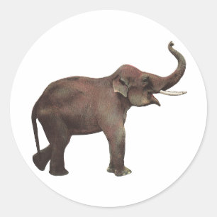 Antieke Wilde Dieren, Geluk Aziaatische Olifanten Ronde Sticker