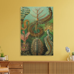 Antieke Wormen Annelids Chaetopoda door Ernst Haec Canvas Afdruk