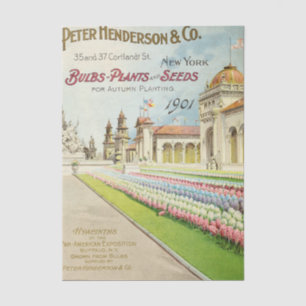 Antieke Zaadcatalogus Peter Henderson 1901 Bloemen Tissuepapier