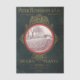 Antieke zaadcatalogus Peter Henderson Co., 1900 Tissuepapier