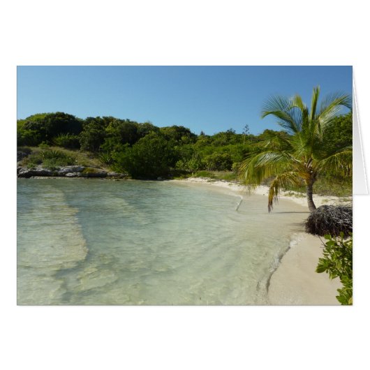 Antiguan Beach Beautiful Tropical Landscape (Devant horizontal)