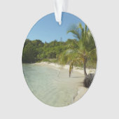 Antiguan Beach Beautiful Tropical Landscape (devant)