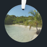 Antiguan Beach Beautiful Tropical Landscape<br><div class="desc">Cette scène tropicale d'une plage d'Antiguan montre les multiples types de flore qu'ils ont. D'un côté se trouve un cocotier, mais au loin, on aperçoit également de nombreux cactus. L'eau était si claire qu'on pouvait y voir nager de petits poissons argentés. Consultez notre magasin pour plus de photos de belles...</div>