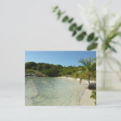 Antiguan Beach Mooi tropisch landschap (Staand voorkant)