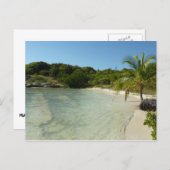 Antiguan Beach Mooi tropisch landschap Briefkaart (Voorkant / Achterkant)