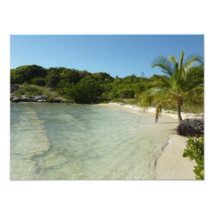 Antiguan Beach Mooi tropisch landschap Foto Afdruk