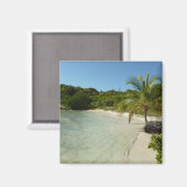 Antiguan Beach Mooi tropisch landschap Magneet (Voorkant / Achterkant)