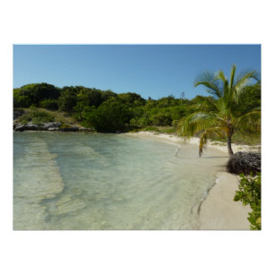 Antiguan Beach Mooi tropisch landschap Perfect Poster
