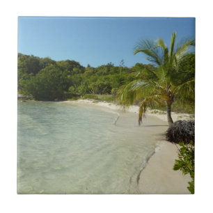 Antiguan Beach Mooi tropisch landschap Tegeltje