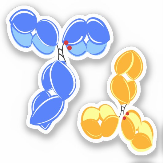 Antilichaam geneesmiddelconjugaat DAR2 blauw/geel Sticker (Voorkant)