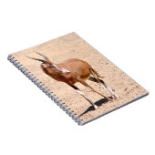Antilope blesbok notitieboek (Rechterzijde)
