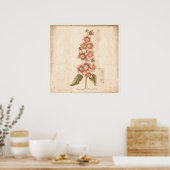 Antique affiche botanique Campanula, Bellflower (Cuisine)