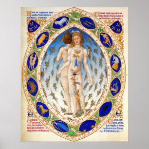 ANTIQUE ASTROLOGIE, MICROCOSMOS EN ZODIAKALE TEKEN POSTER