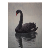 Antique Black Swan Art Print Perfect Poster (Voorkant)