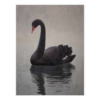 Antique Black Swan Art Print Perfect Poster